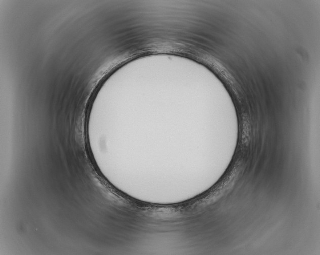 X0000111950986200909071316