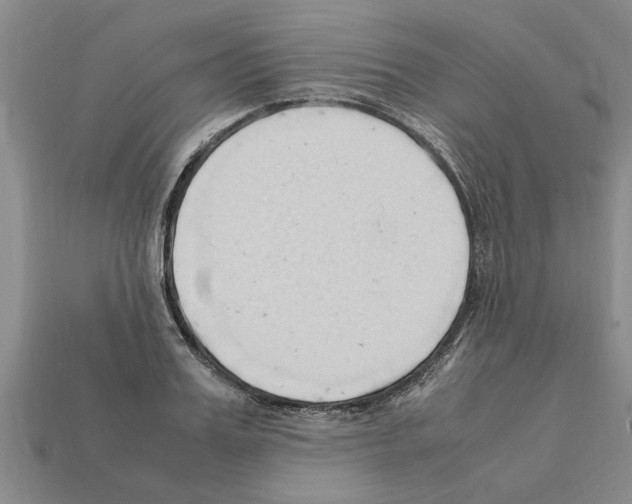 X0000111950987200909071316