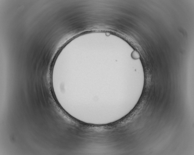 X0000111950990200909071316