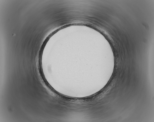 X0000111950991200909071316