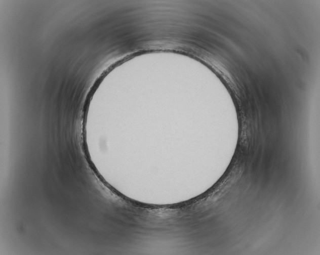 X0000111950992200909071316