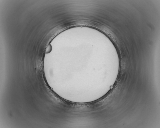 X0000111950993200909071316