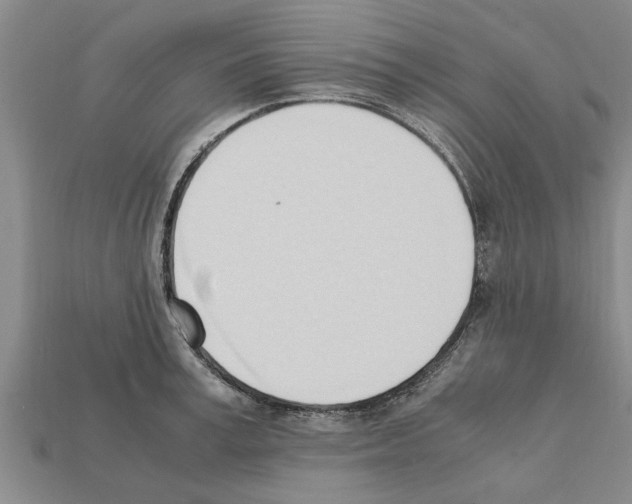 X0000111950995200909071316