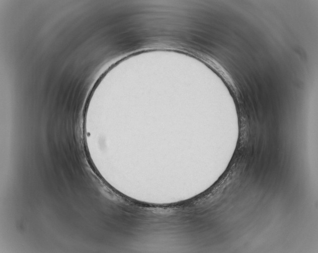 X0000111950996200909071316