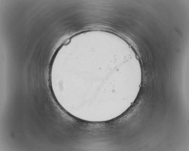 X0000111950997200909071316