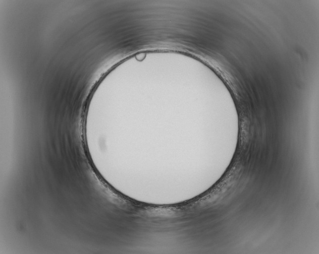 X0000111950998200909071316