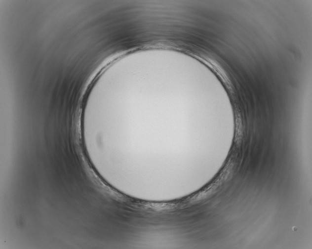 X0000111951000200909071316