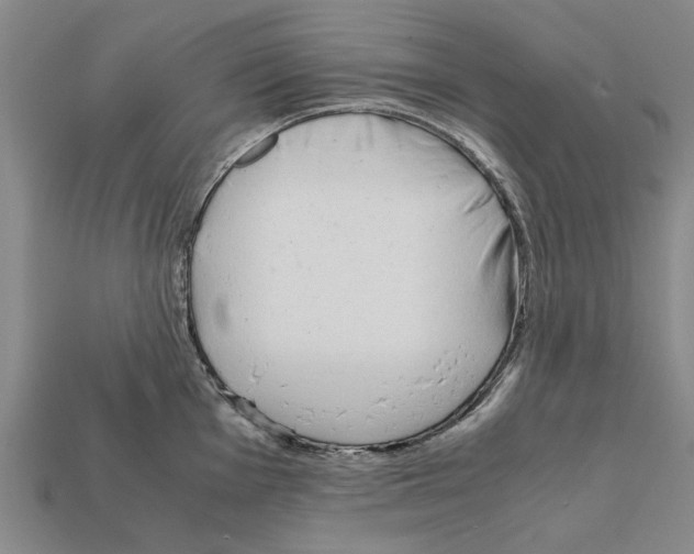 X0000111951001200909071316