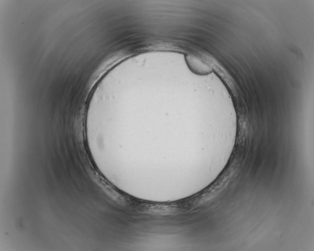 X0000111951002200909071316