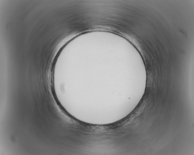 X0000111951003200909071316