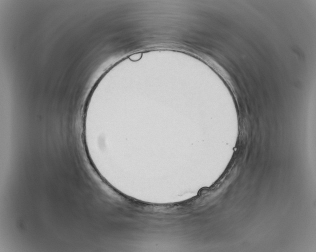 X0000111951005200909071316