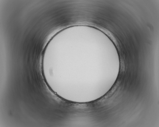 X0000111951006200909071316