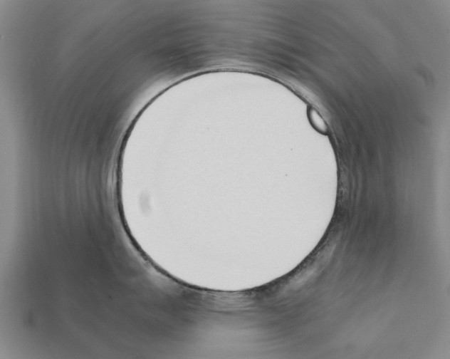 X0000111951007200909071316