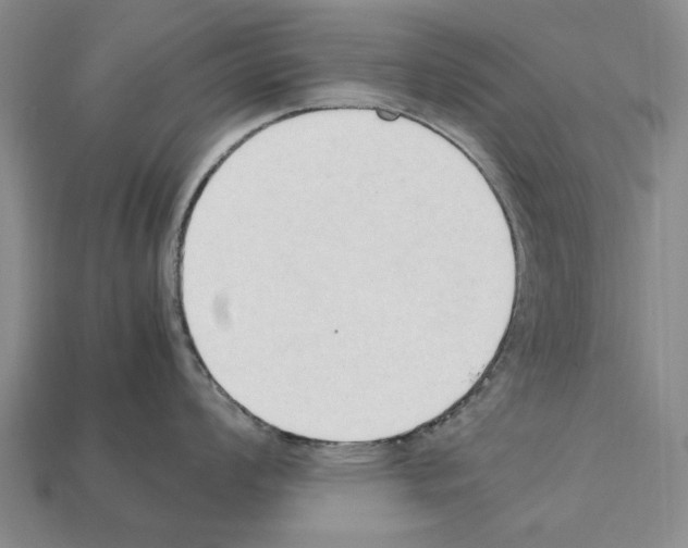 X0000111951008200909071316