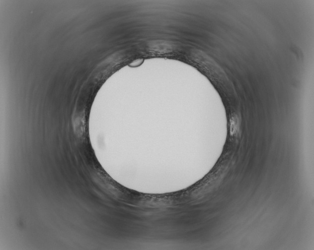 X0000111951011200909071315