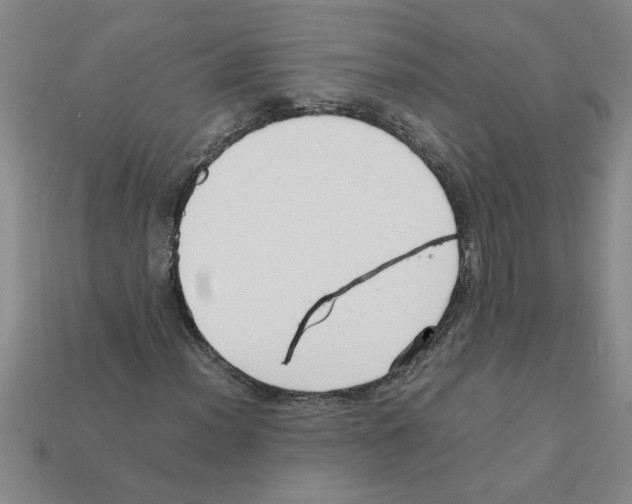 X0000111951012200909071315
