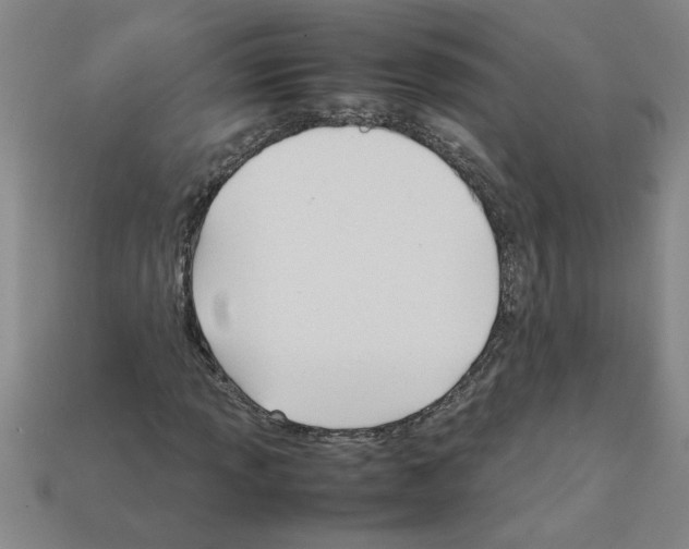 X0000111951013200909071315