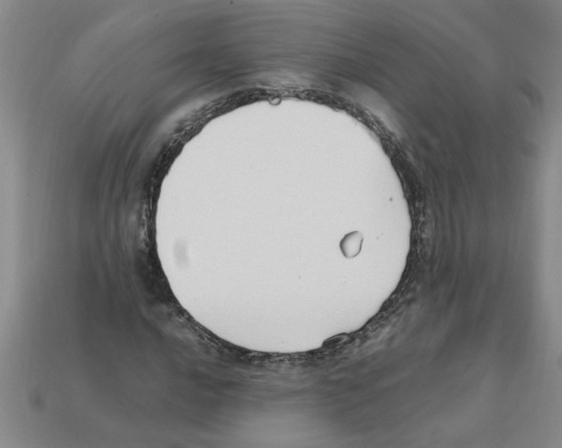X0000111951016200909071315