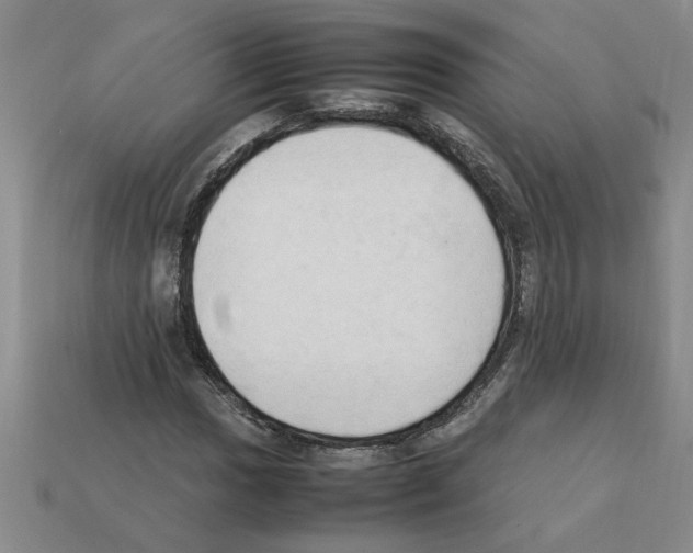 X0000111951017200909071315