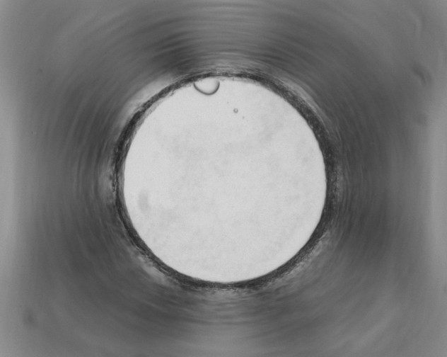 X0000111951018200909071315