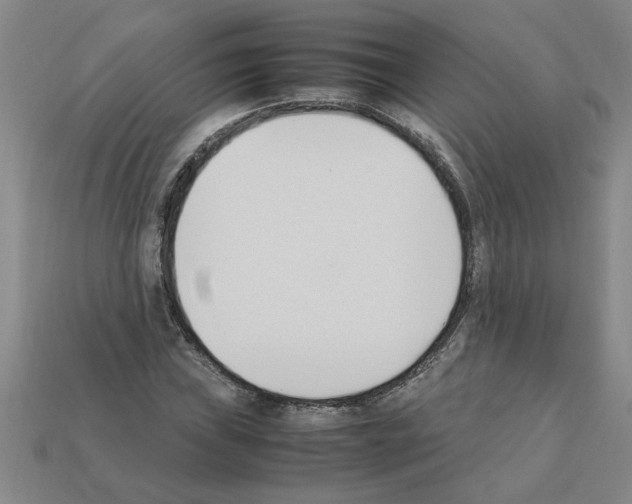 X0000111951019200909071315