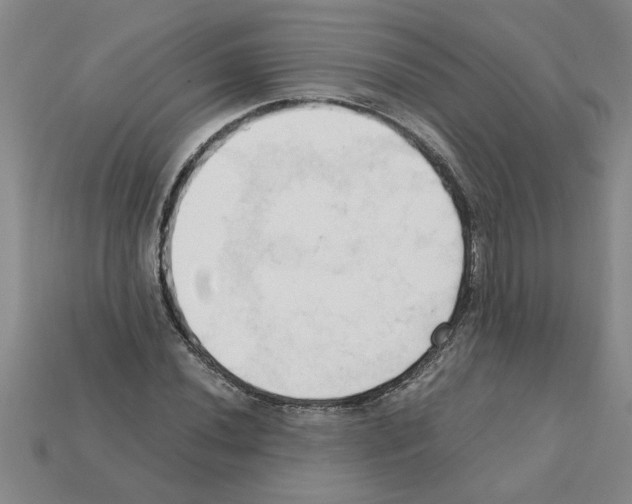 X0000111951020200909071315