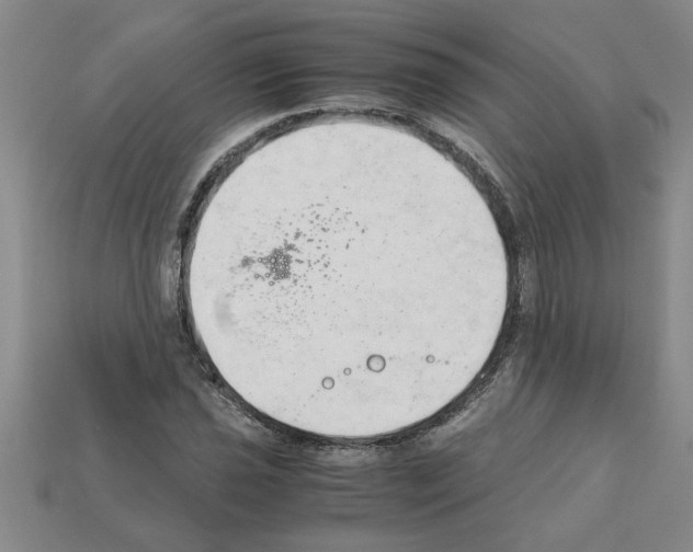 X0000111951021200909071315