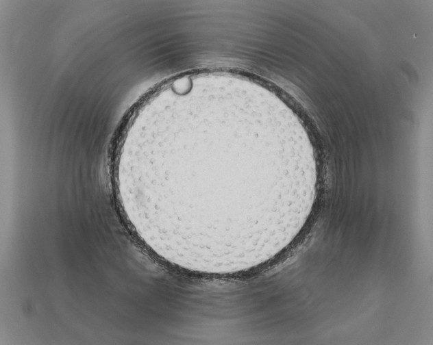 X0000111951022200909071315