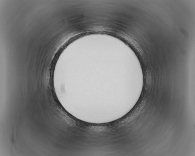 X0000111951023200909071315