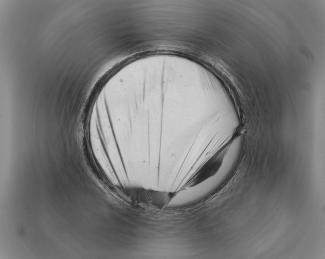 X0000111951024200909071315