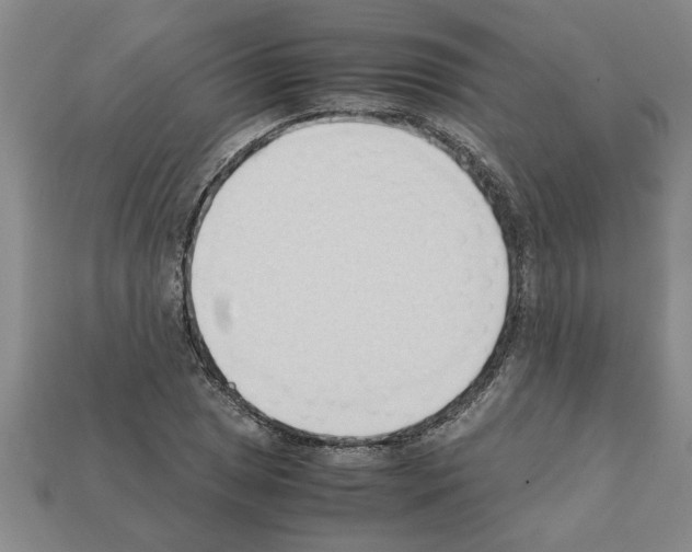 X0000111951025200909071315