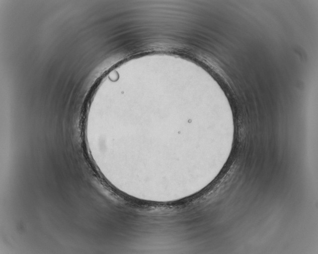 X0000111951026200909071316
