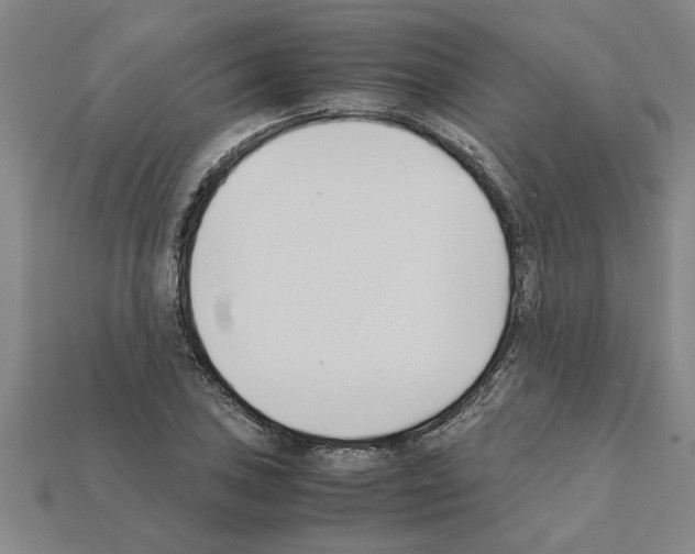 X0000111951027200909071316