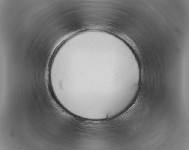 X0000111951028200909071316
