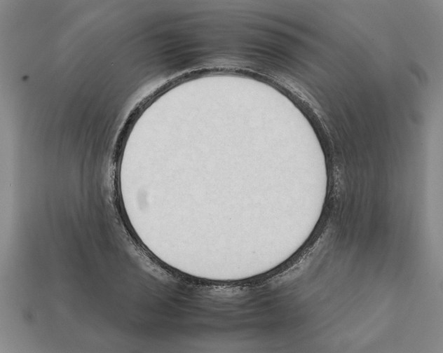 X0000111951029200909071316