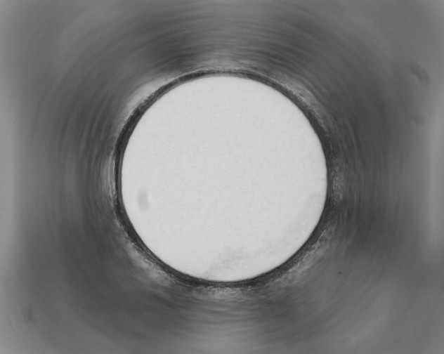 X0000111951030200909071316
