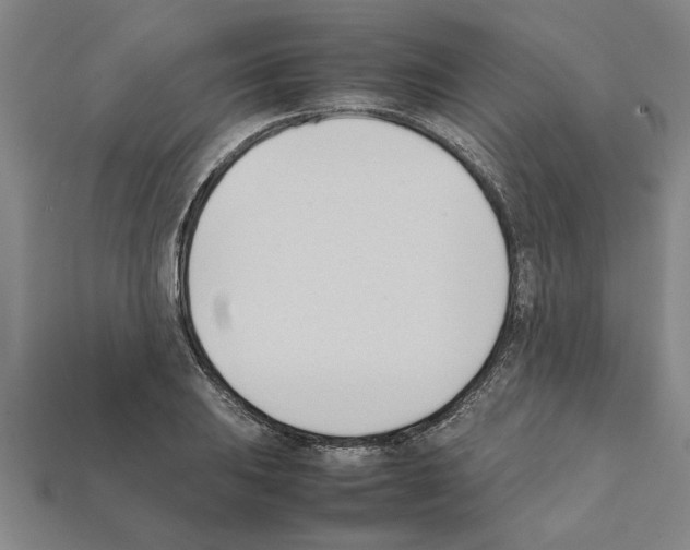 X0000111951031200909071316