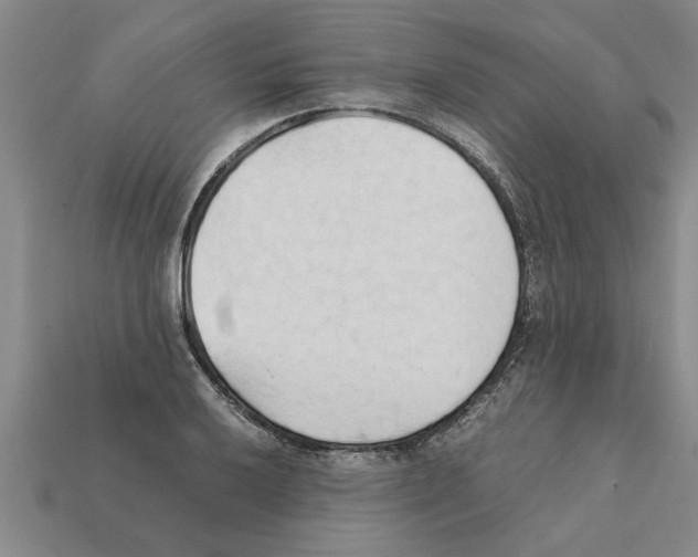 X0000111951032200909071316