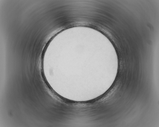X0000111951034200909071316