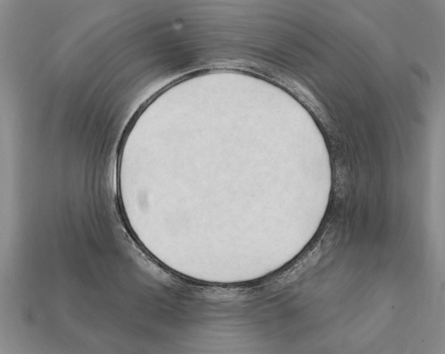 X0000111951036200909071316