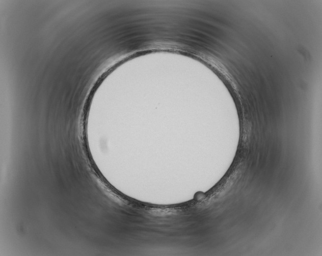 X0000111951037200909071316