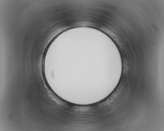 X0000111951039200909071316