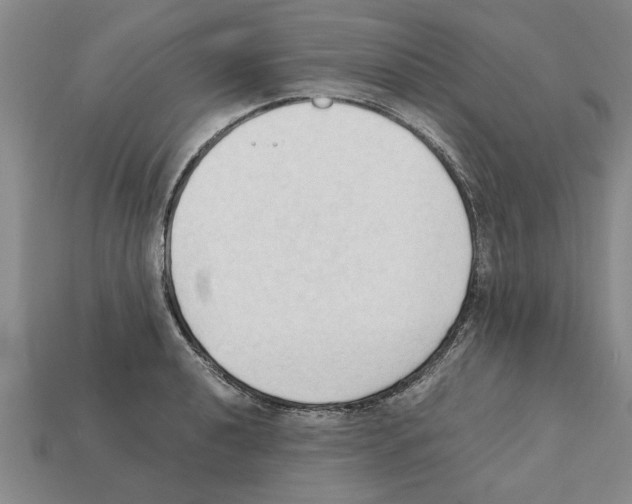 X0000111951040200909071316