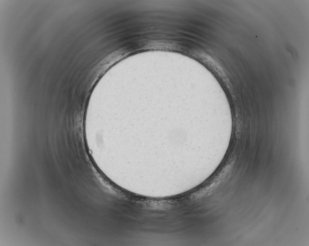 X0000111951041200909071316