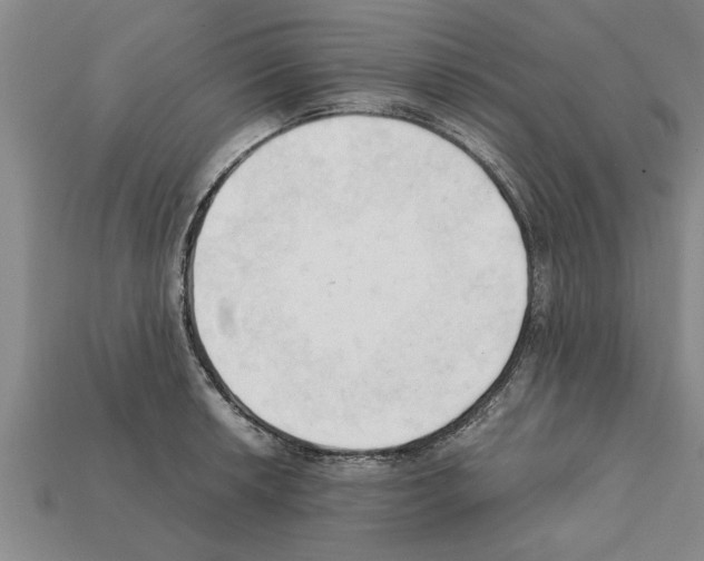 X0000111951042200909071316
