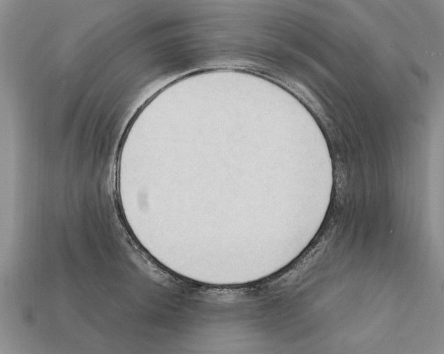 X0000111951044200909071316