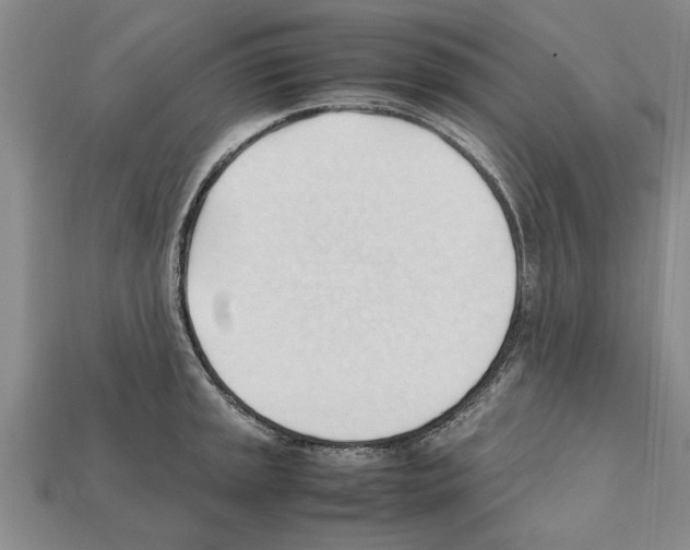 X0000111951045200909071316