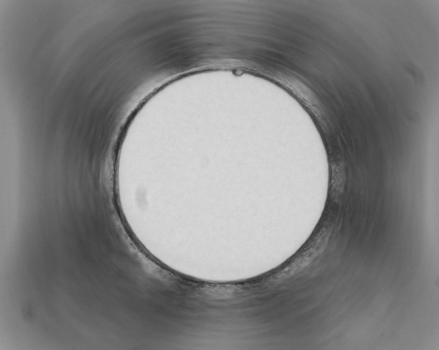 X0000111951046200909071316