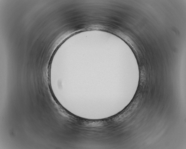 X0000111951047200909071316