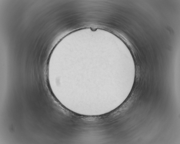 X0000111951048200909071316